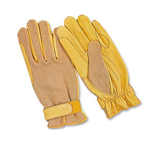 Horse Riding Gloves 